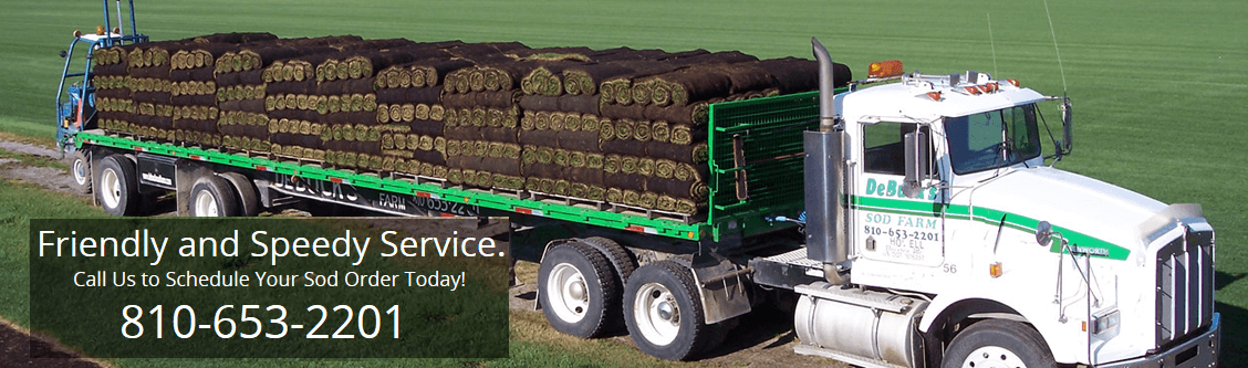 MI Sod Farm Sod Delivery